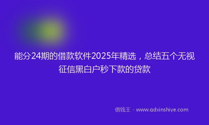 能分24期的借款软件2025年精选，总结五个无视征信黑白户秒下款的贷款