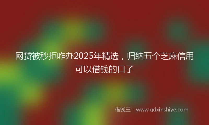 网贷被秒拒咋办2025年精选，归纳五个芝麻信用可以借钱的口子