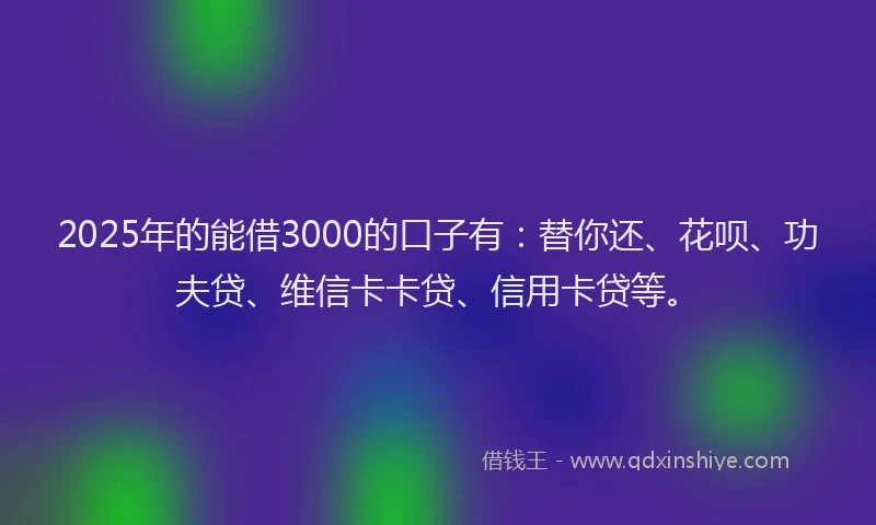 2025年的能借3000的口子有：替你还、花呗、功夫贷、维信卡卡贷、信用卡贷等。