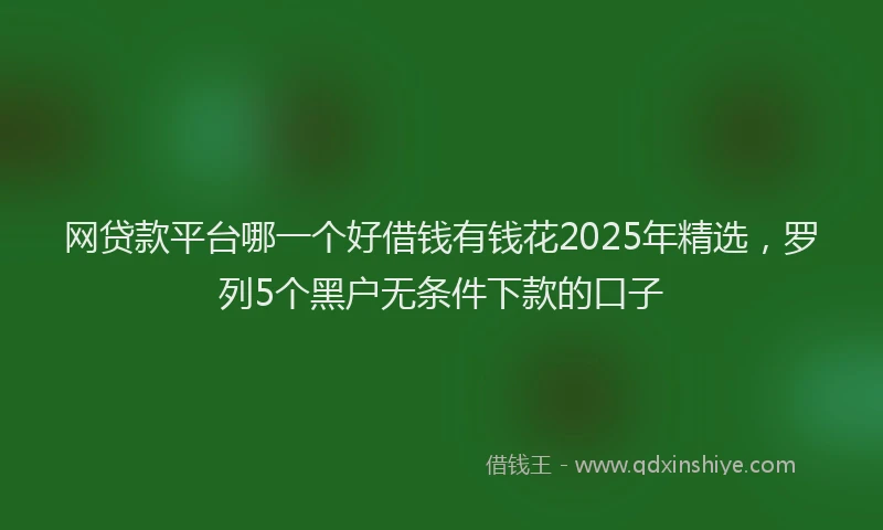 网贷款平台哪一个好借钱有钱花2025年精选，罗列5个黑户无条件下款的口子