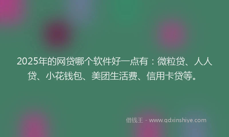 2025年的网贷哪个软件好一点有：微粒贷、人人贷、小花钱包、美团生活费、信用卡贷等。
