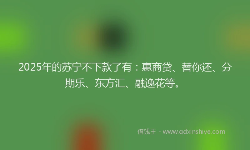 2025年的苏宁不下款了有：惠商贷、替你还、分期乐、东方汇、融逸花等。