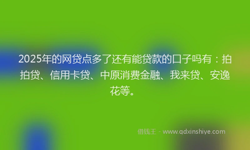 2025年的网贷点多了还有能贷款的口子吗有：拍拍贷、信用卡贷、中原消费金融、我来贷、安逸花等。