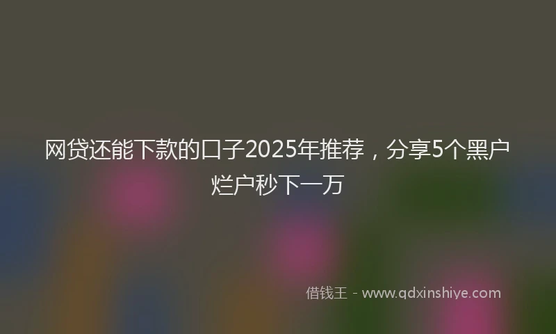 网贷还能下款的口子2025年推荐，分享5个黑户烂户秒下一万