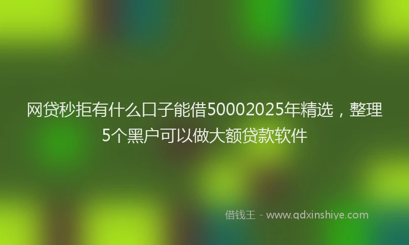 网贷秒拒有什么口子能借50002025年精选，整理5个黑户可以做大额贷款软件
