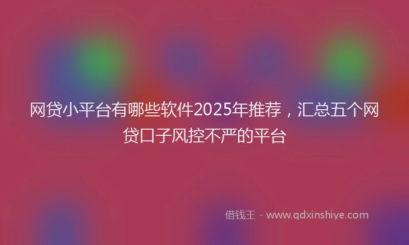 网贷小平台有哪些软件2025年推荐，汇总五个网贷口子风控不严的平台