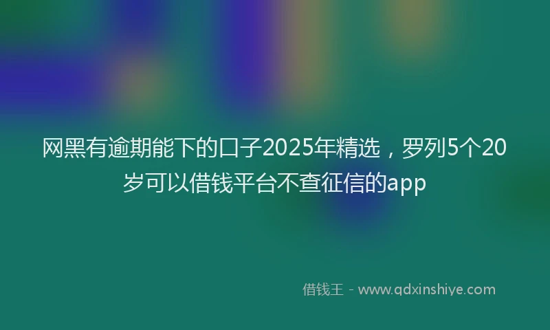 网黑有逾期能下的口子2025年精选，罗列5个20岁可以借钱平台不查征信的app