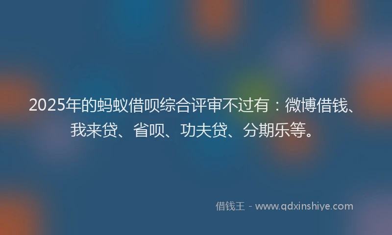 2025年的蚂蚁借呗综合评审不过有：微博借钱、我来贷、省呗、功夫贷、分期乐等。