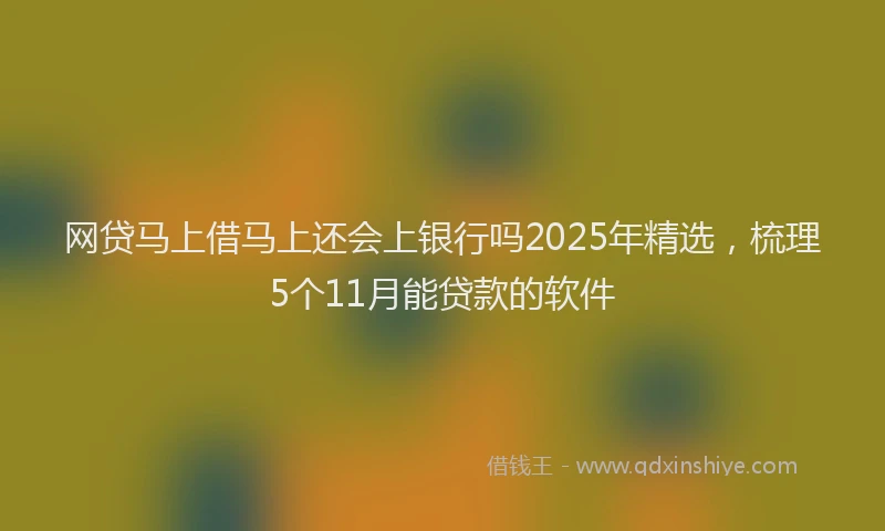 网贷马上借马上还会上银行吗2025年精选，梳理5个11月能贷款的软件