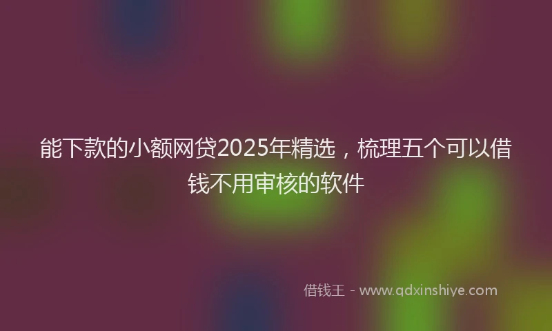 能下款的小额网贷2025年精选，梳理五个可以借钱不用审核的软件