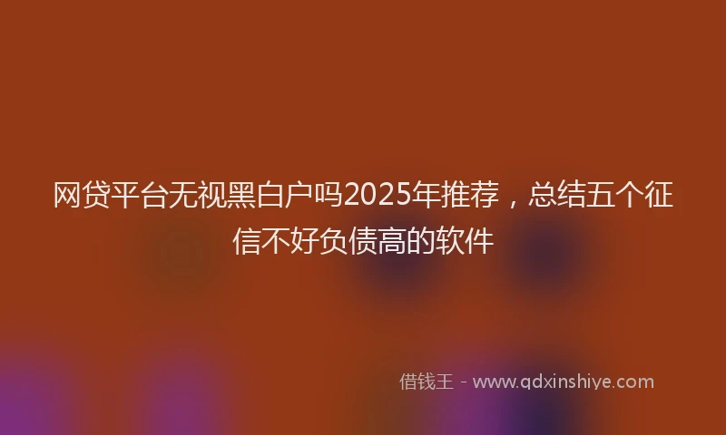 网贷平台无视黑白户吗2025年推荐，总结五个征信不好负债高的软件
