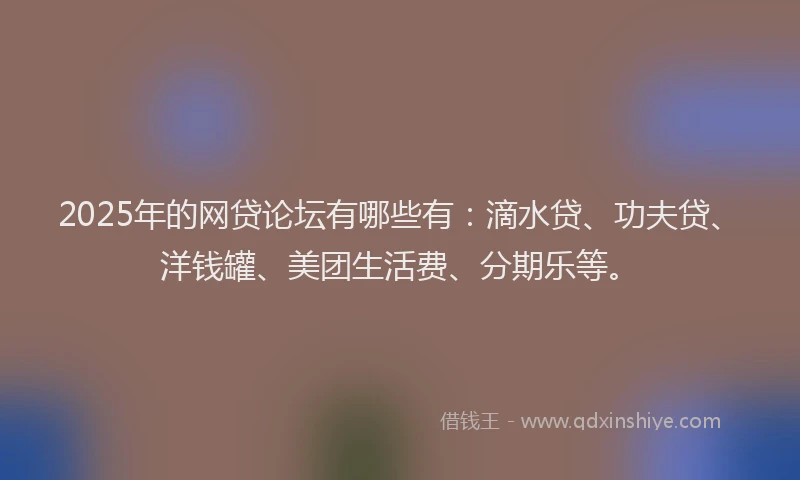 2025年的网贷论坛有哪些有：滴水贷、功夫贷、洋钱罐、美团生活费、分期乐等。
