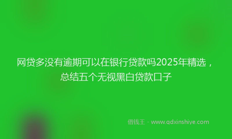 网贷多没有逾期可以在银行贷款吗2025年精选，总结五个无视黑白贷款口子