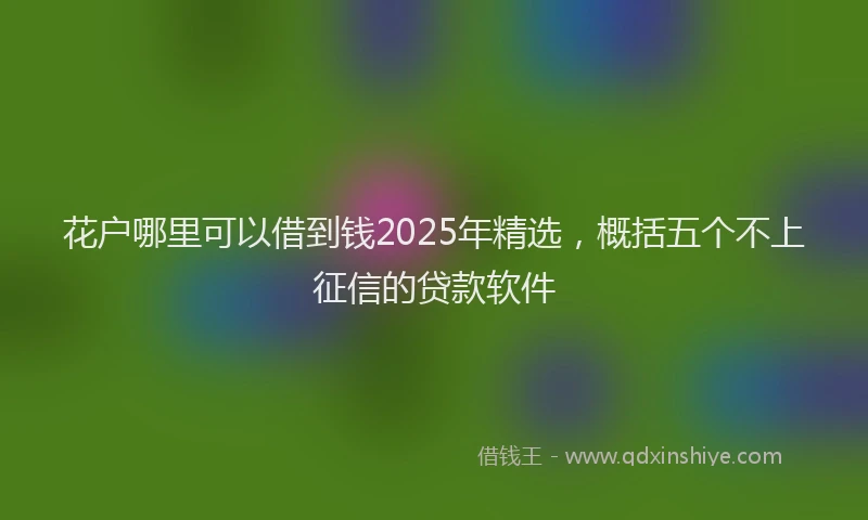 花户哪里可以借到钱2025年精选，概括五个不上征信的贷款软件