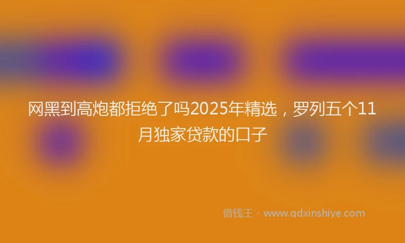 网黑到高炮都拒绝了吗2025年精选，罗列五个11月独家贷款的口子