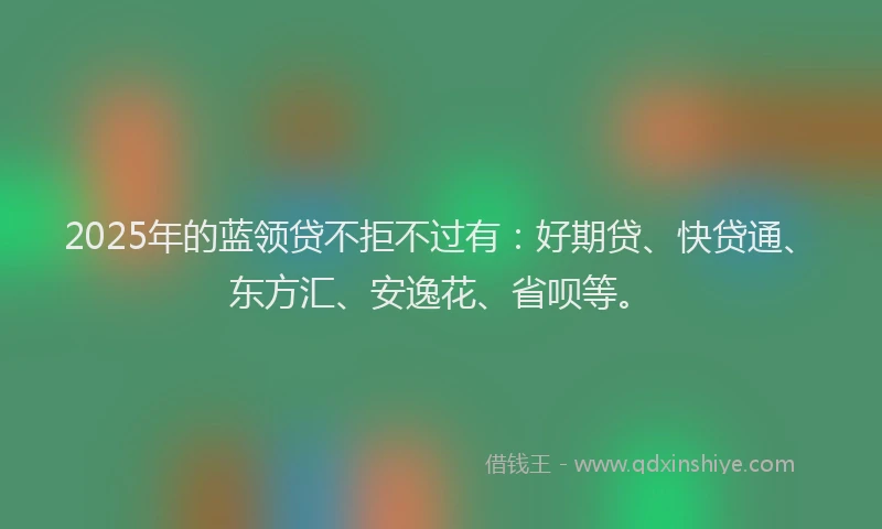 2025年的蓝领贷不拒不过有：好期贷、快贷通、东方汇、安逸花、省呗等。