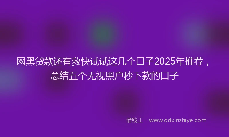 网黑贷款还有救快试试这几个口子2025年推荐，总结五个无视黑户秒下款的口子