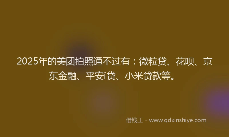 2025年的美团拍照通不过有：微粒贷、花呗、京东金融、平安i贷、小米贷款等。