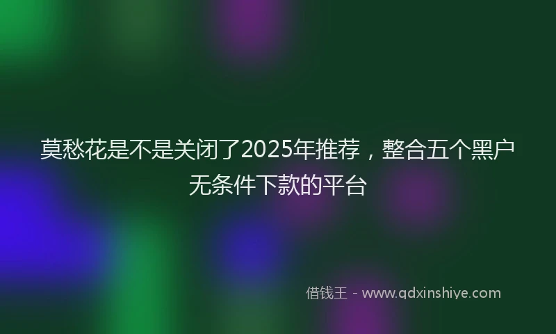 莫愁花是不是关闭了2025年推荐，整合五个黑户无条件下款的平台
