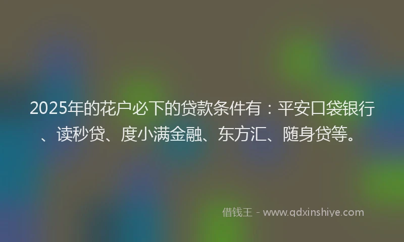 2025年的花户必下的贷款条件有：平安口袋银行、读秒贷、度小满金融、东方汇、随身贷等。