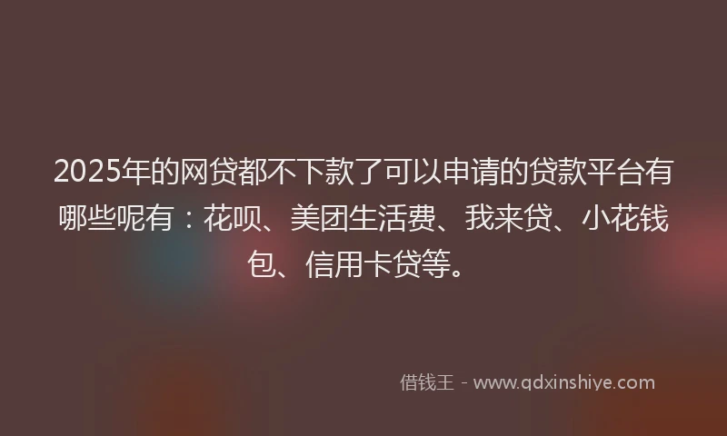 2025年的网贷都不下款了可以申请的贷款平台有哪些呢有：花呗、美团生活费、我来贷、小花钱包、信用卡贷等。