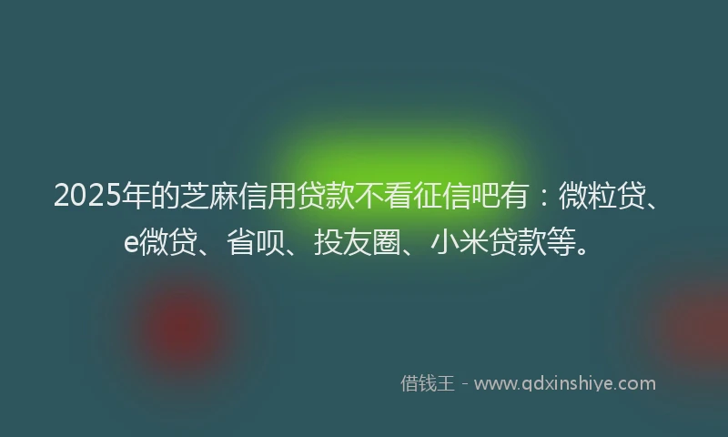 2025年的芝麻信用贷款不看征信吧有：微粒贷、e微贷、省呗、投友圈、小米贷款等。