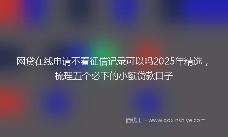 网贷在线申请不看征信记录可以吗2025年精选，梳理五个必下的小额贷款口子