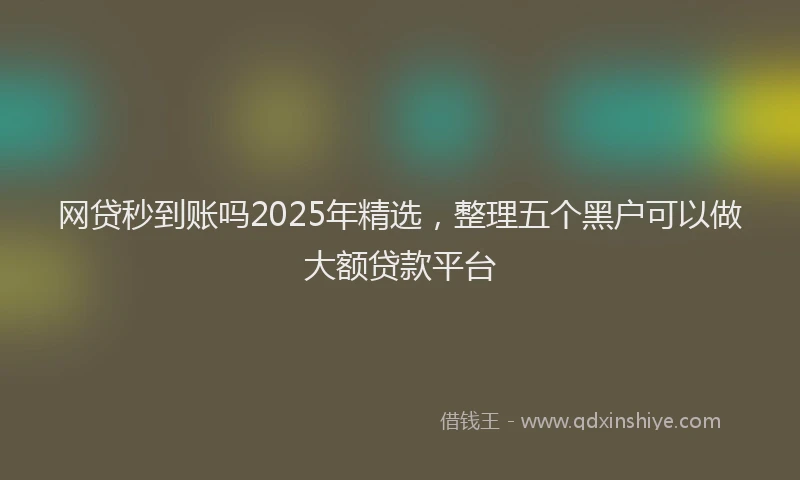 网贷秒到账吗2025年精选，整理五个黑户可以做大额贷款平台