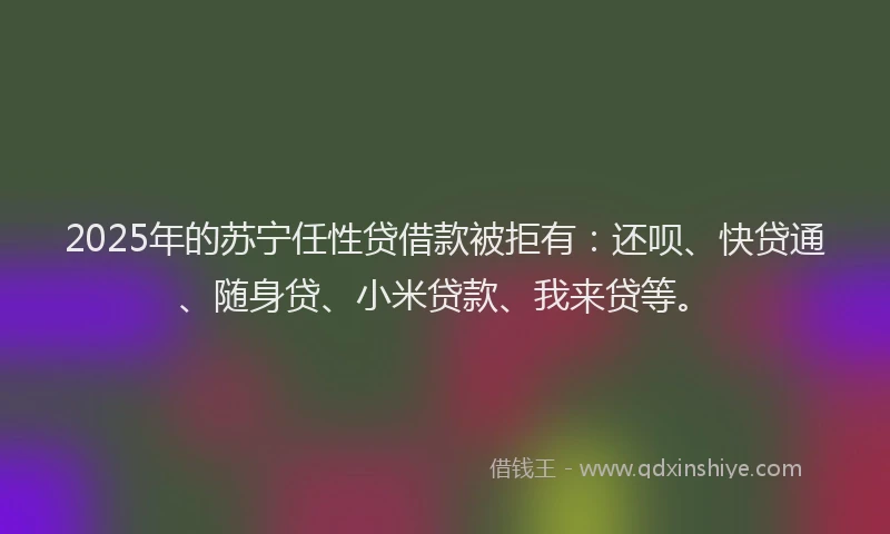 2025年的苏宁任性贷借款被拒有：还呗、快贷通、随身贷、小米贷款、我来贷等。