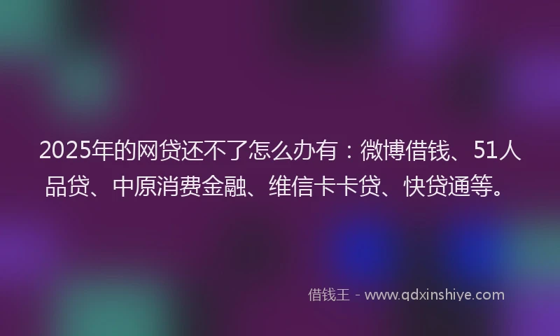 2025年的网贷还不了怎么办有：微博借钱、51人品贷、中原消费金融、维信卡卡贷、快贷通等。