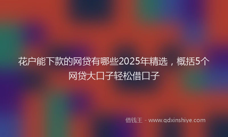 花户能下款的网贷有哪些2025年精选，概括5个网贷大口子轻松借口子