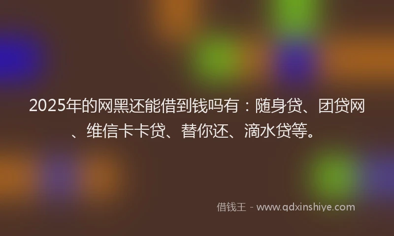 2025年的网黑还能借到钱吗有：随身贷、团贷网、维信卡卡贷、替你还、滴水贷等。