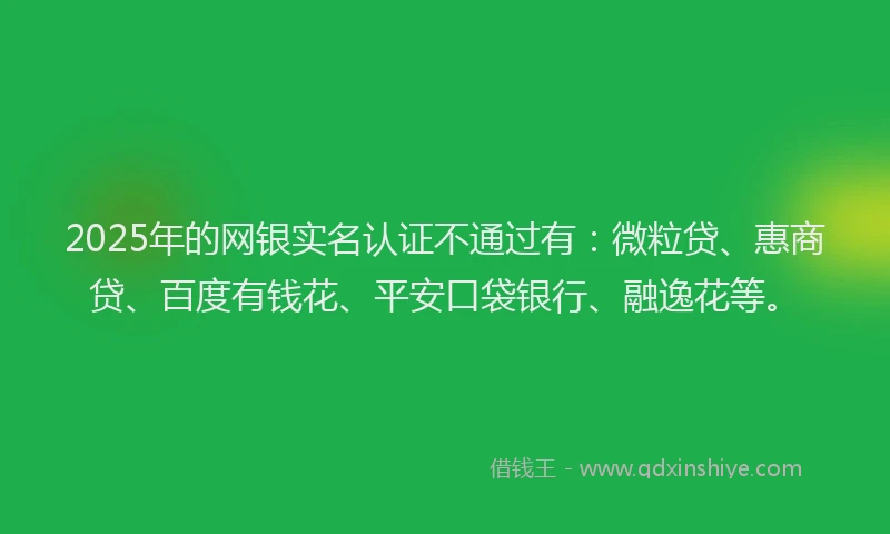 2025年的网银实名认证不通过有：微粒贷、惠商贷、百度有钱花、平安口袋银行、融逸花等。