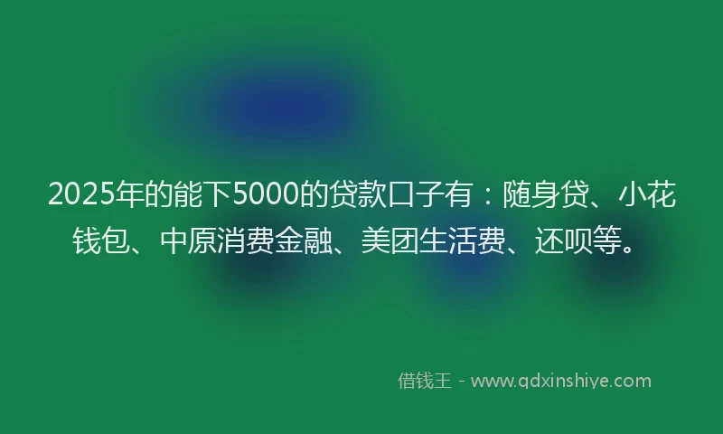 2025年的能下5000的贷款口子有：随身贷、小花钱包、中原消费金融、美团生活费、还呗等。