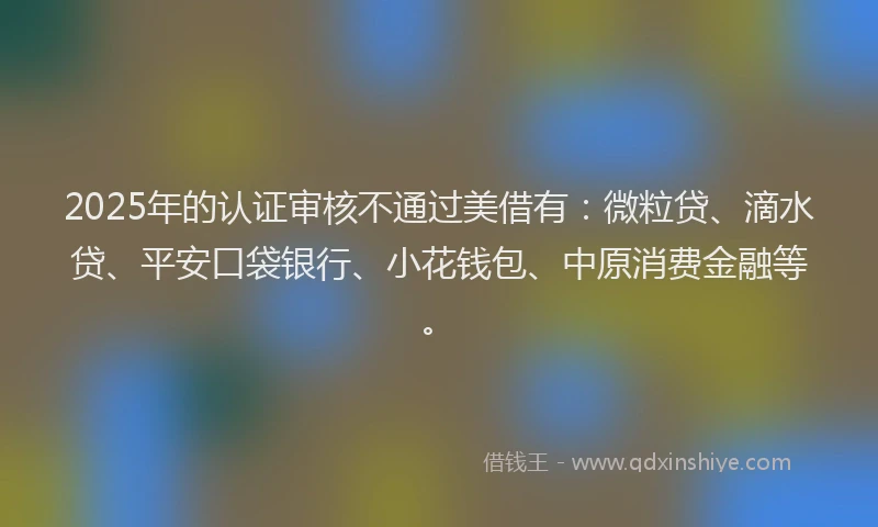 2025年的认证审核不通过美借有：微粒贷、滴水贷、平安口袋银行、小花钱包、中原消费金融等。