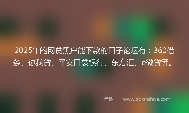 2025年的网贷黑户能下款的口子论坛有：360借条、你我贷、平安口袋银行、东方汇、e微贷等。