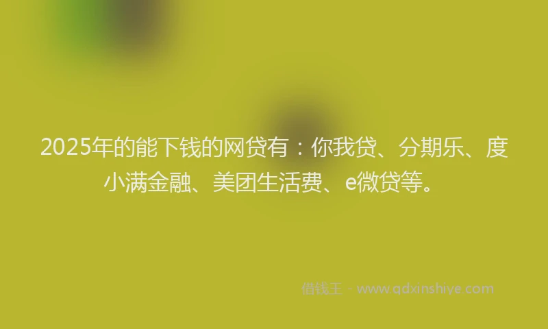 2025年的能下钱的网贷有：你我贷、分期乐、度小满金融、美团生活费、e微贷等。
