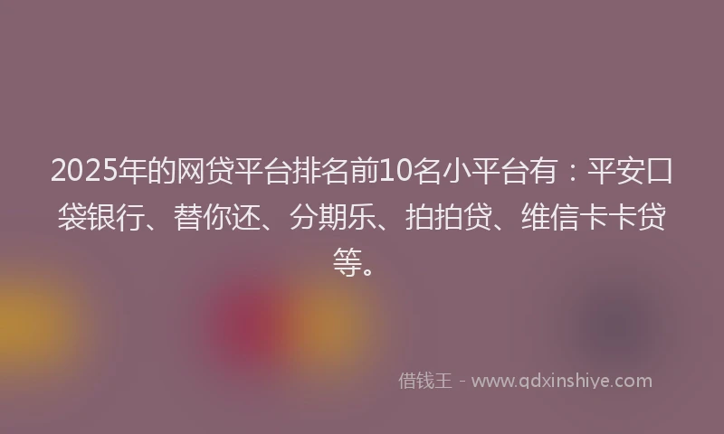 2025年的网贷平台排名前10名小平台有：平安口袋银行、替你还、分期乐、拍拍贷、维信卡卡贷等。