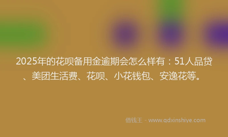 2025年的花呗备用金逾期会怎么样有：51人品贷、美团生活费、花呗、小花钱包、安逸花等。