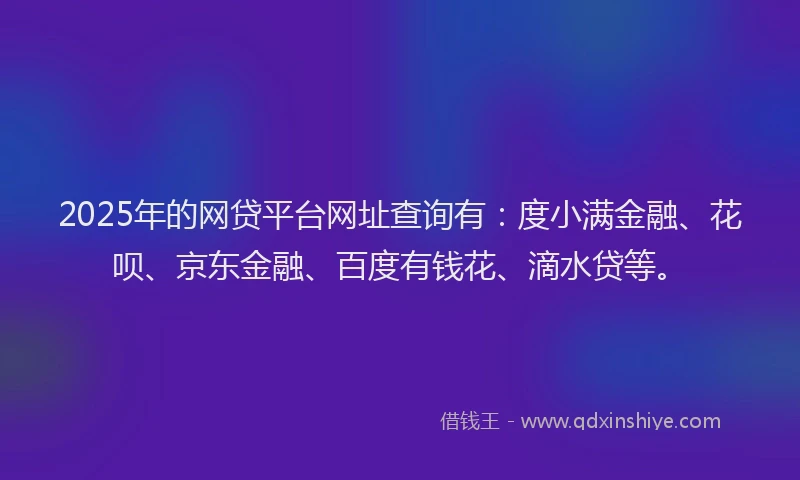 2025年的网贷平台网址查询有：度小满金融、花呗、京东金融、百度有钱花、滴水贷等。
