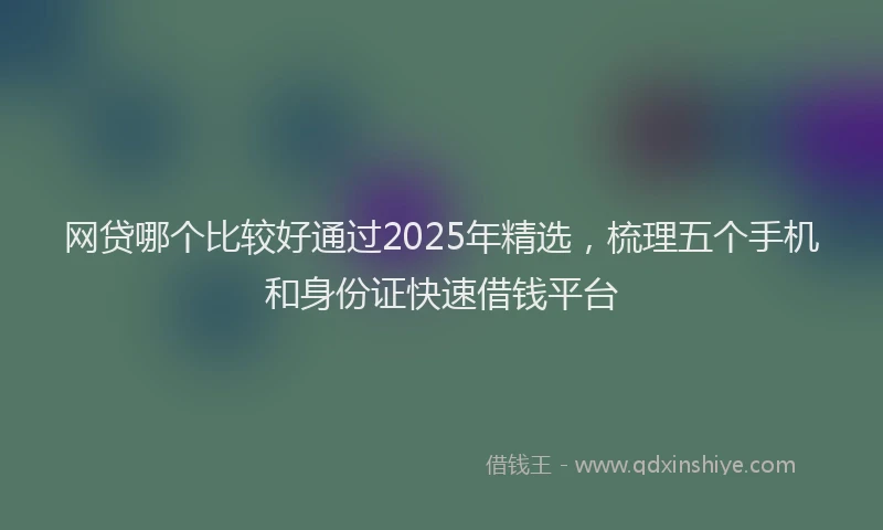 网贷哪个比较好通过2025年精选，梳理五个手机和身份证快速借钱平台