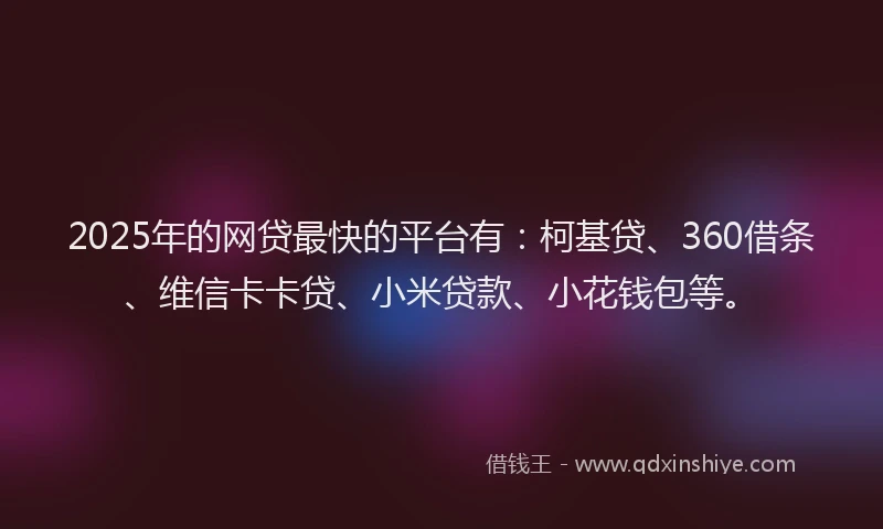 2025年的网贷最快的平台有：柯基贷、360借条、维信卡卡贷、小米贷款、小花钱包等。