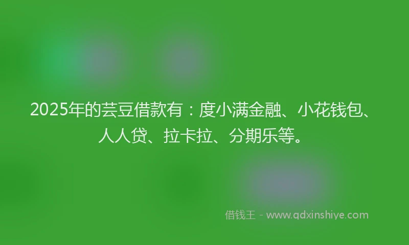 2025年的芸豆借款有：度小满金融、小花钱包、人人贷、拉卡拉、分期乐等。