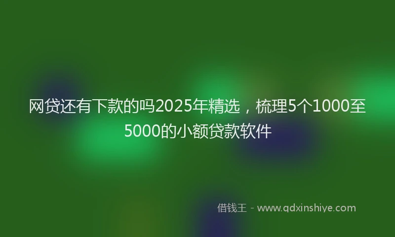 网贷还有下款的吗2025年精选，梳理5个1000至5000的小额贷款软件