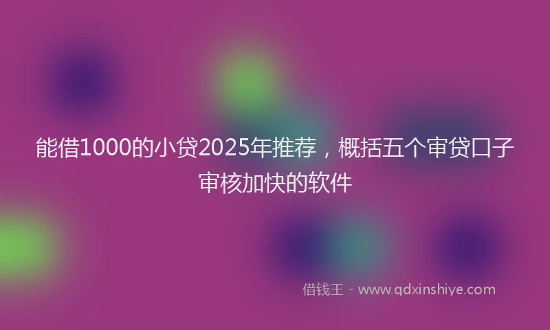 能借1000的小贷2025年推荐，概括五个审贷口子审核加快的软件