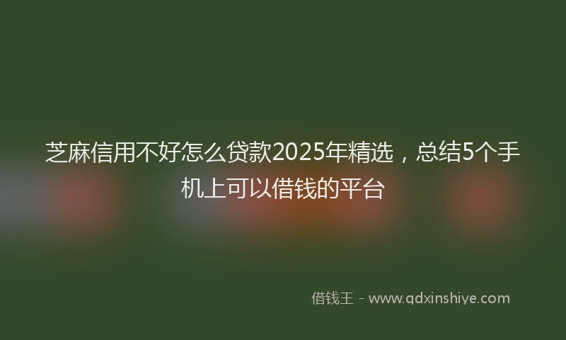 芝麻信用不好怎么贷款2025年精选，总结5个手机上可以借钱的平台