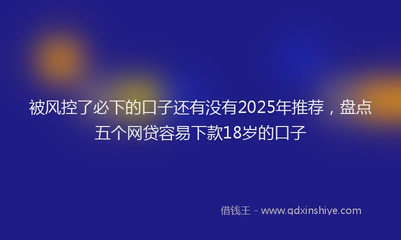 被风控了必下的口子还有没有2025年推荐，盘点五个网贷容易下款18岁的口子