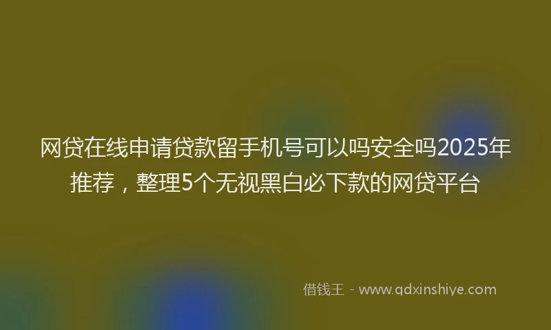 网贷在线申请贷款留手机号可以吗安全吗2025年推荐，整理5个无视黑白必下款的网贷平台
