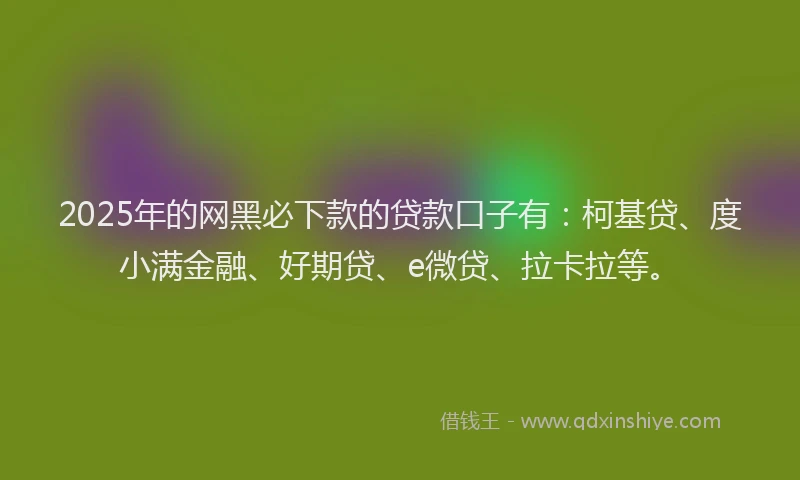 2025年的网黑必下款的贷款口子有：柯基贷、度小满金融、好期贷、e微贷、拉卡拉等。