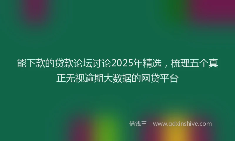 能下款的贷款论坛讨论2025年精选，梳理五个真正无视逾期大数据的网贷平台